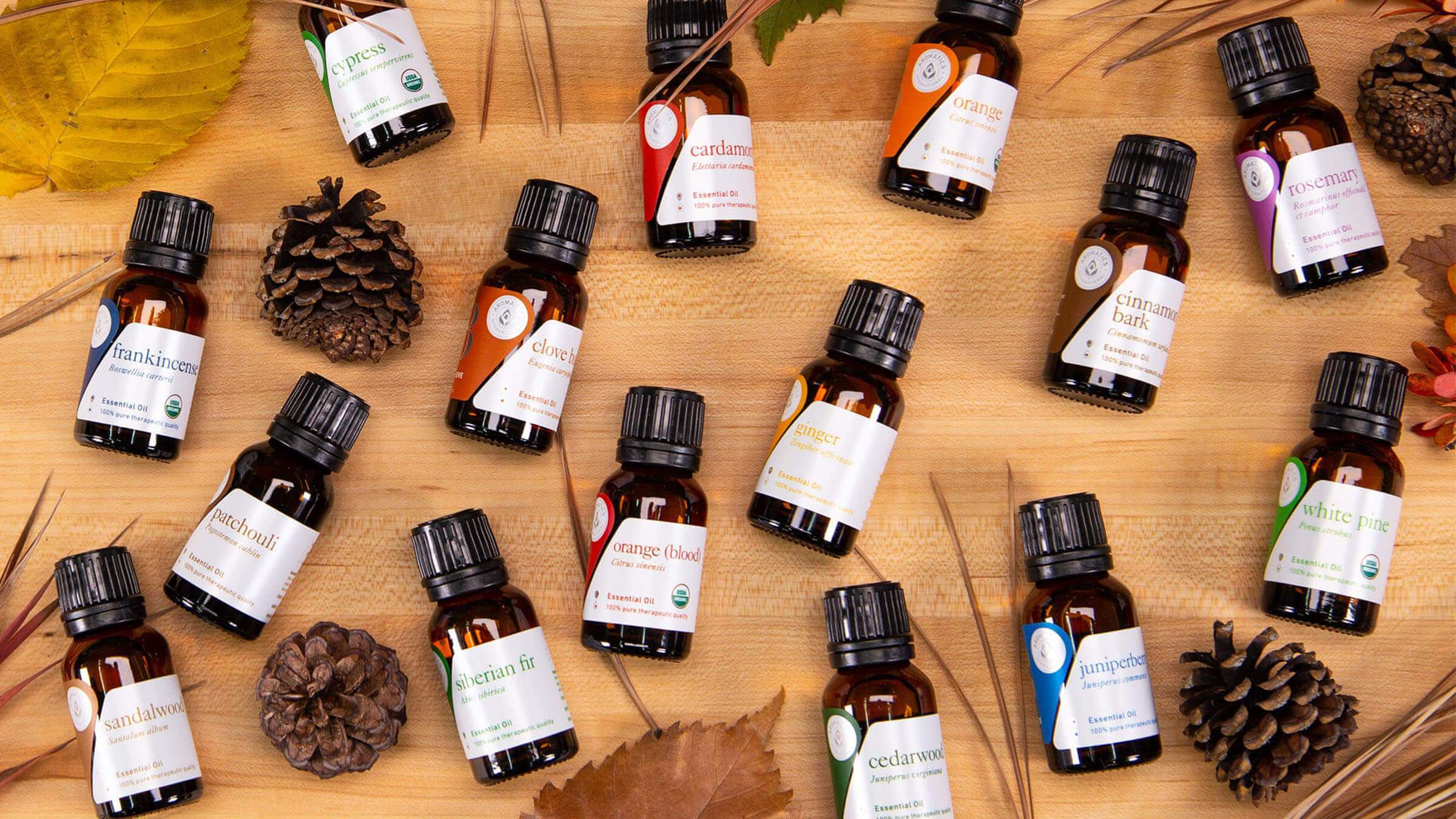 15 Best Fall Essential Oils: A Closer Look   – Aromatics  International