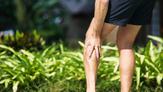 Ease The Veins Oil - Aromatics International