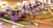 All Bulk Aromatherapy Products