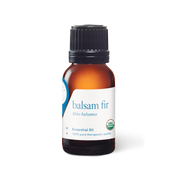 Balsam Fir Oil