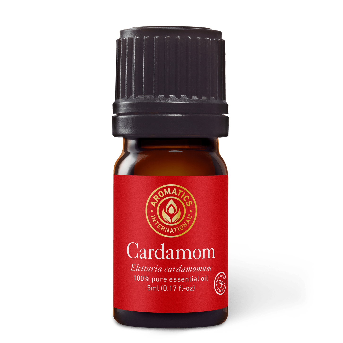 Organic Cardamom Essential Oil - Aromatics International - 100