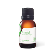Fennel Sweet Oil