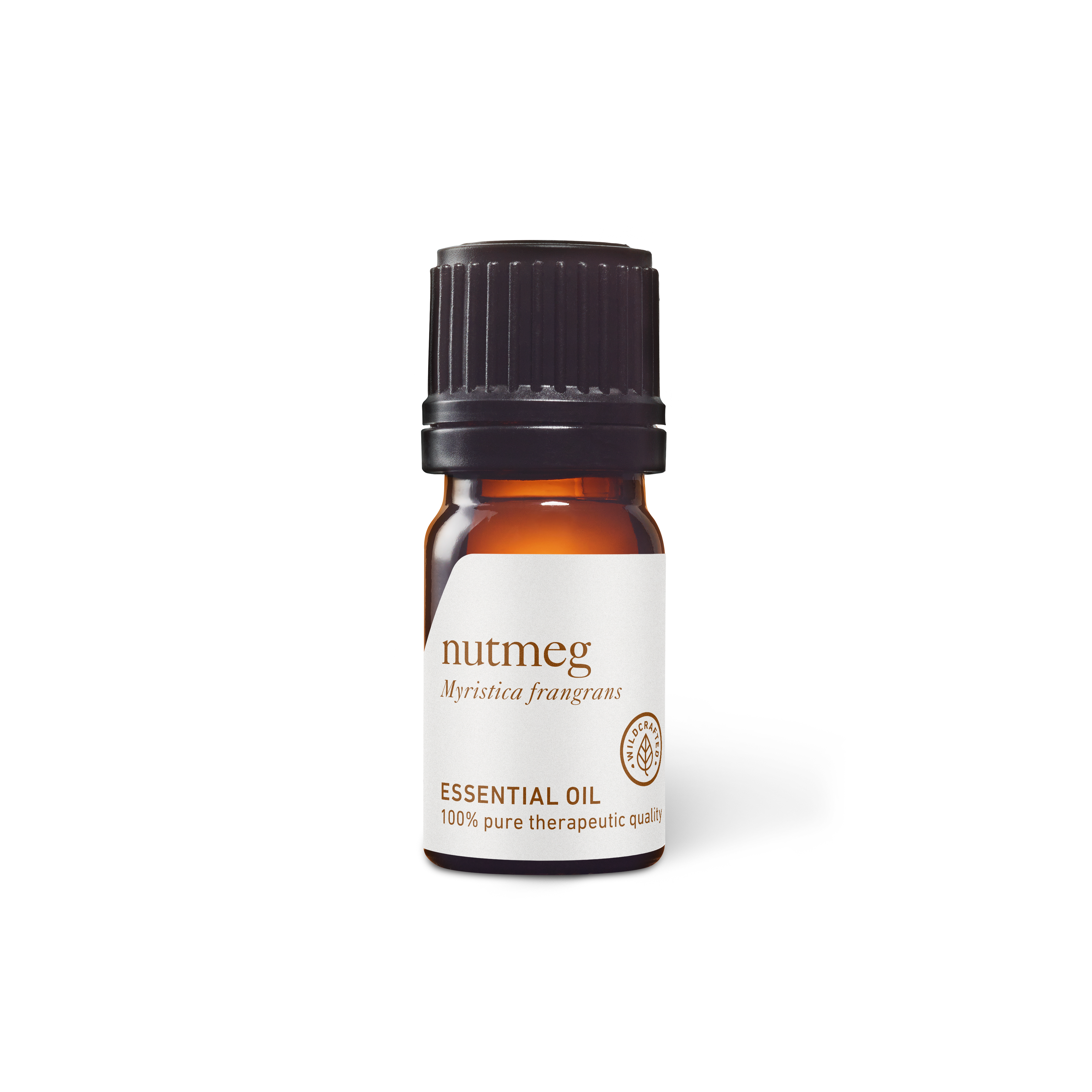 Nutmeg Organic Essential Oil – Aroma Thyme Aromatherapy