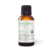 White Pine Oil