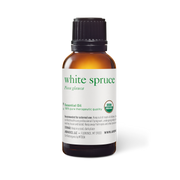 White Spruce Oil