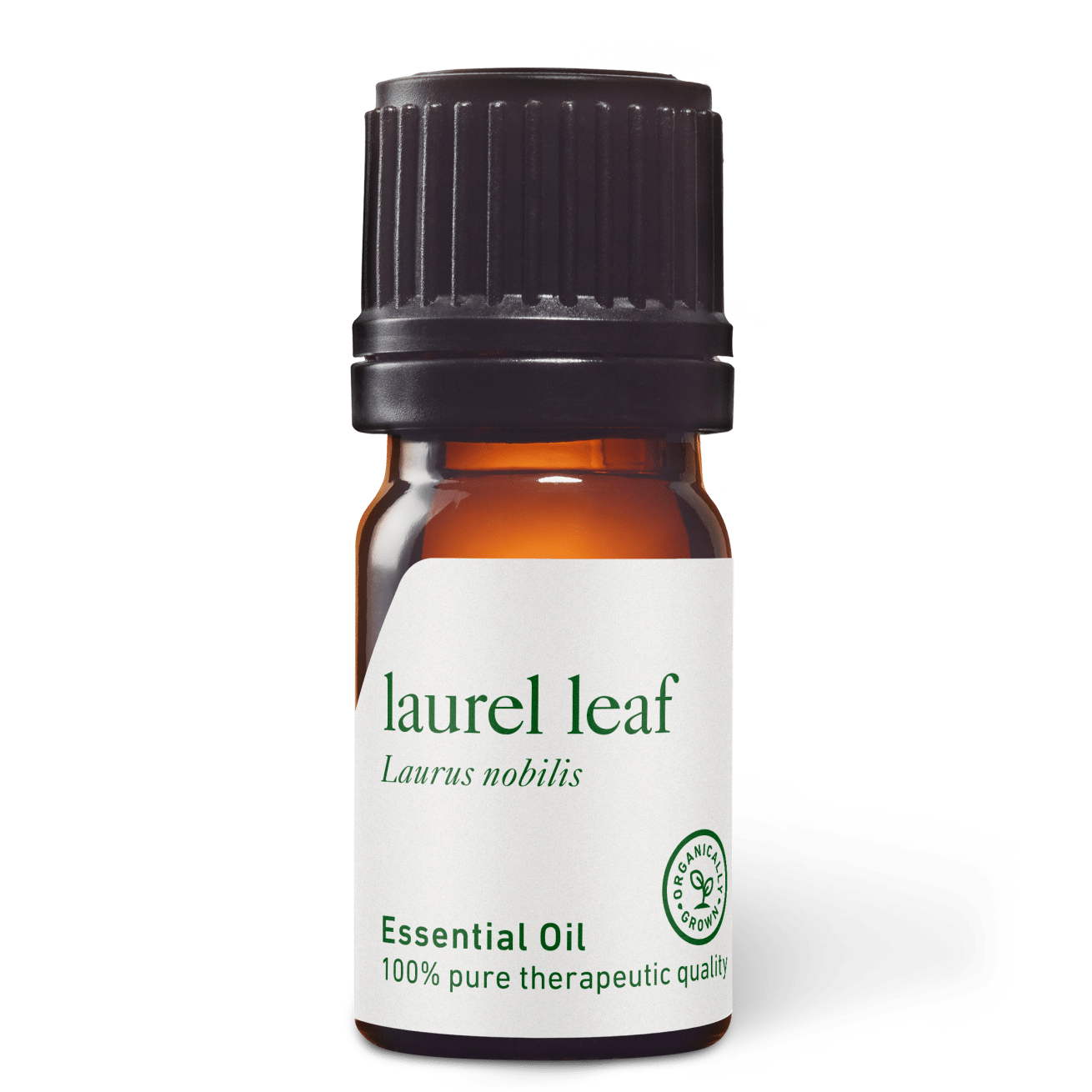 Organic Laurel Leaf Essential Oil Aromatics International