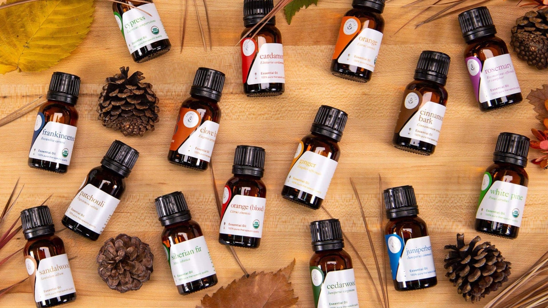 15 Best Fall Essential Oils: A Closer Look | aromatics.com – Aromatics  International