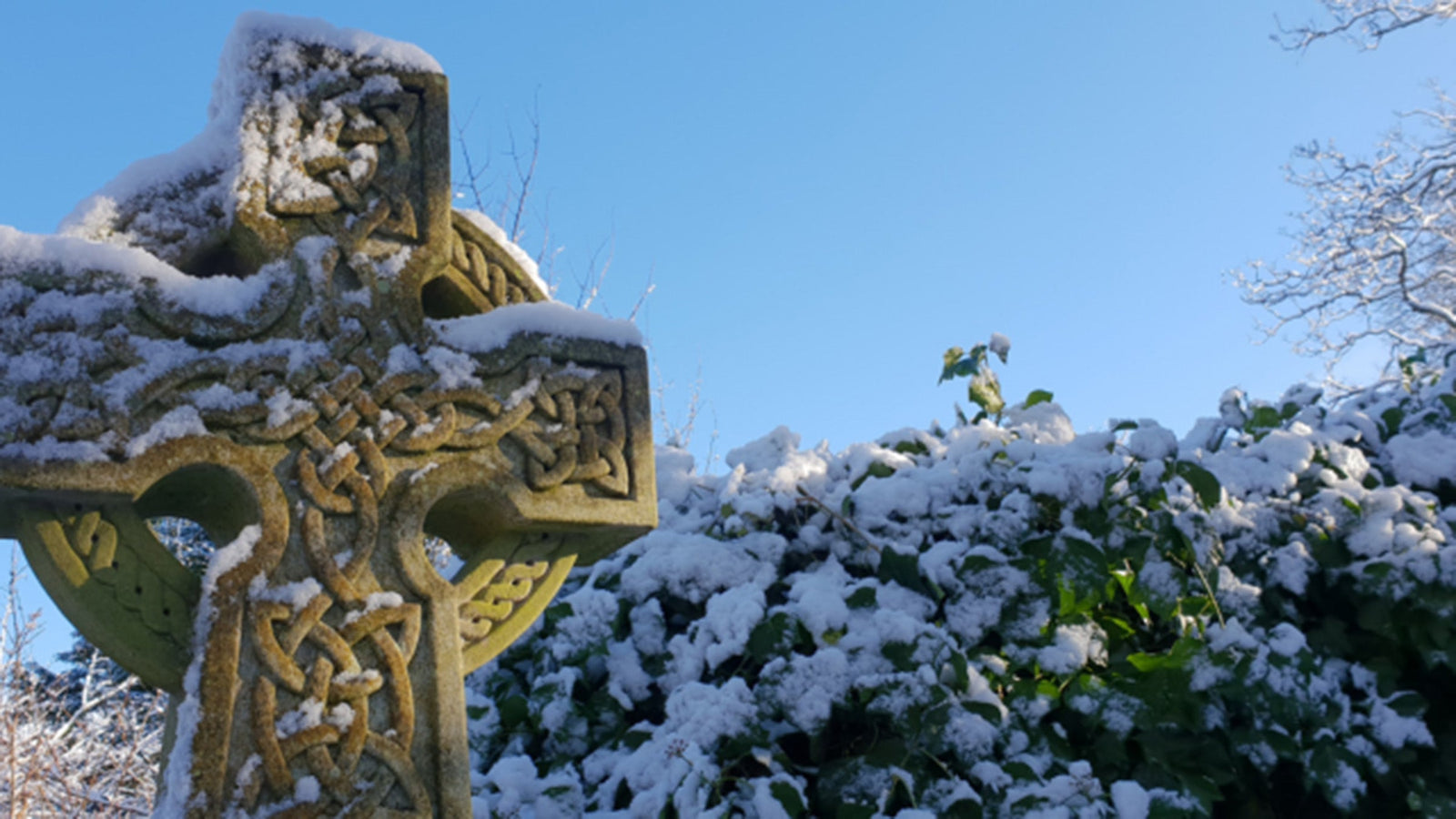 Celtic Winter Solstice Blend Essential Oil Recipe Aromatics International