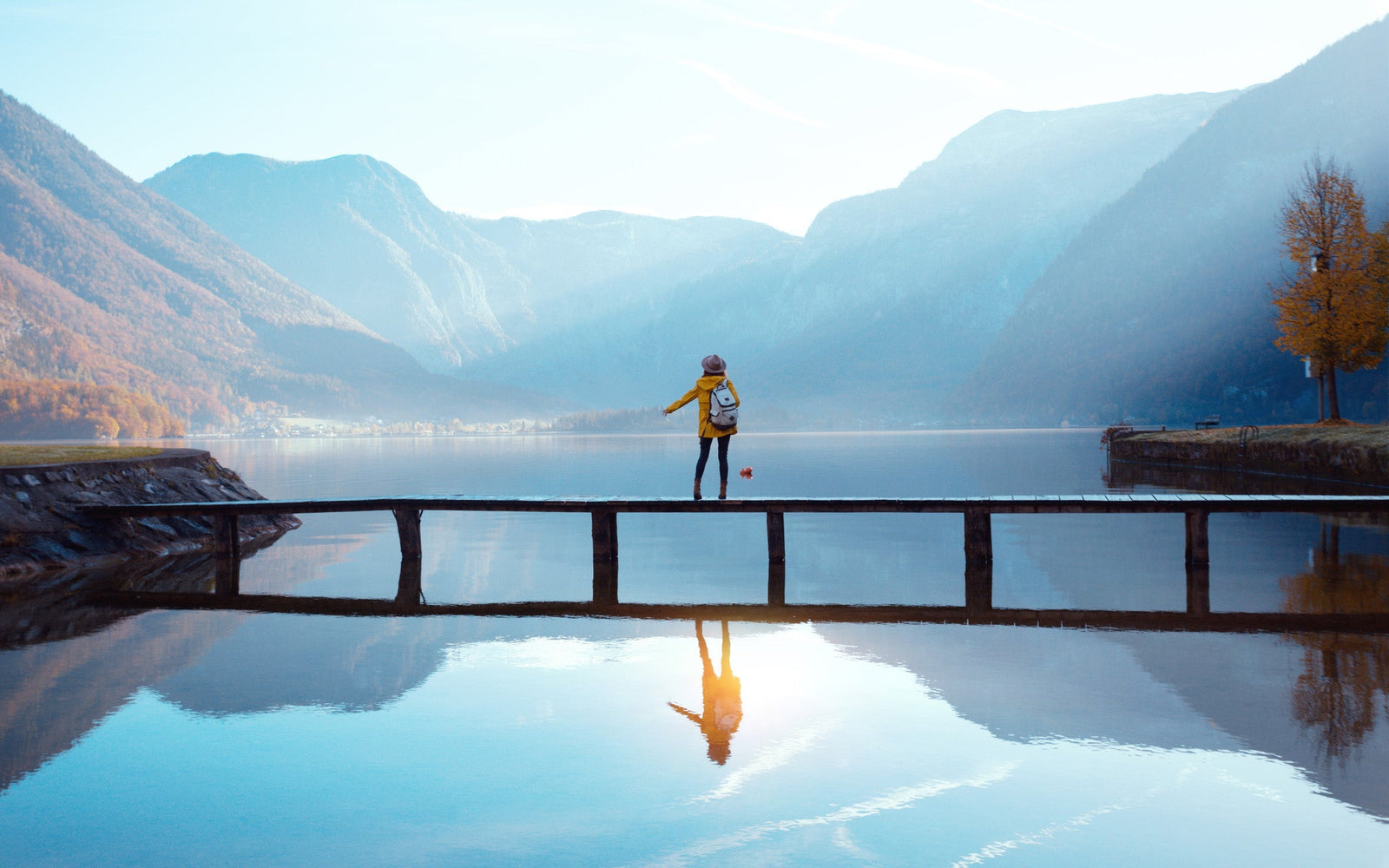 Elemental Transformation Blend Essential Oil Recipe Aromatics International