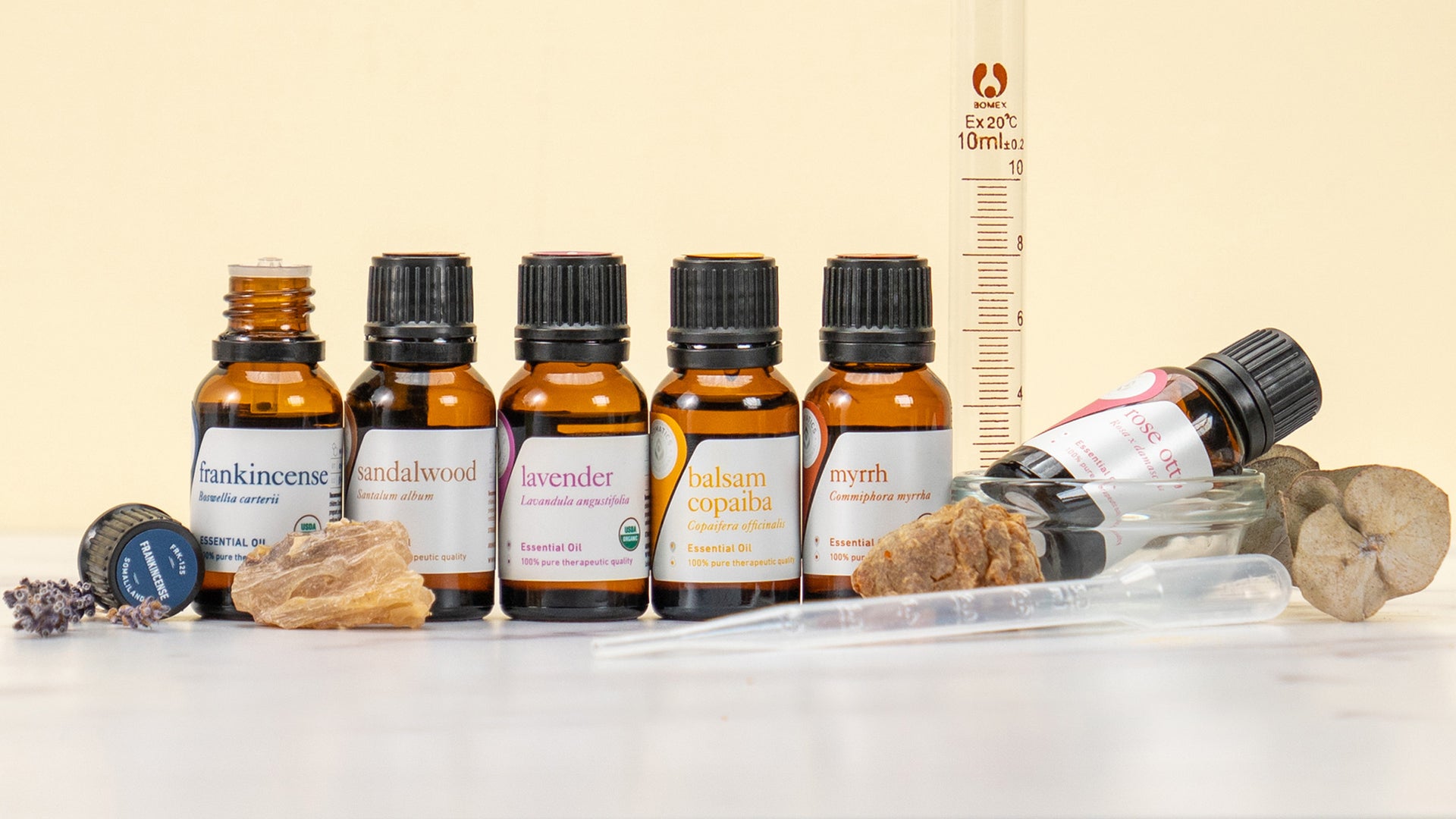 The Study Set of 6 Fragrance Oils 10ml