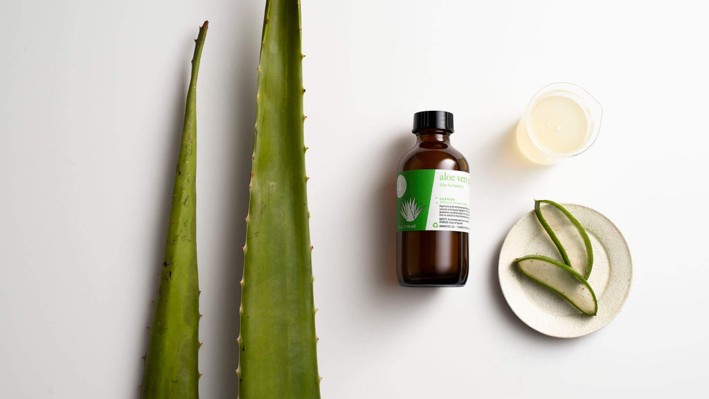 Aloe vera gel: the #1 carrier for summer skin care!