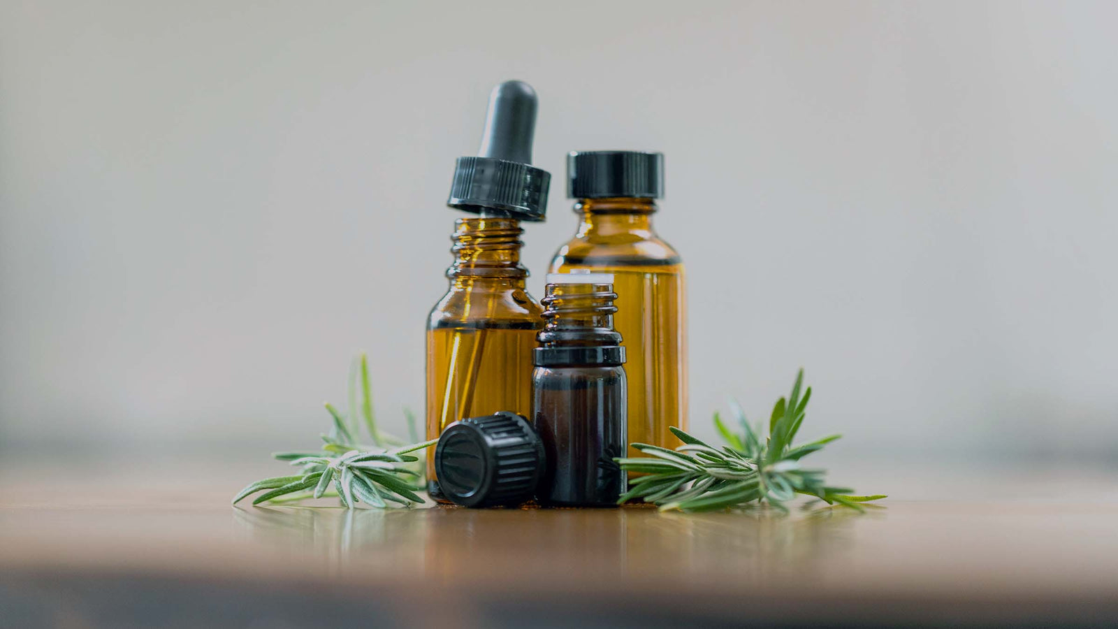 Our Favorite Conifer Oils for the Holiday Season