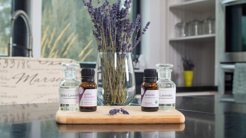 Lavender vs. spike lavender oil: what’s the difference?