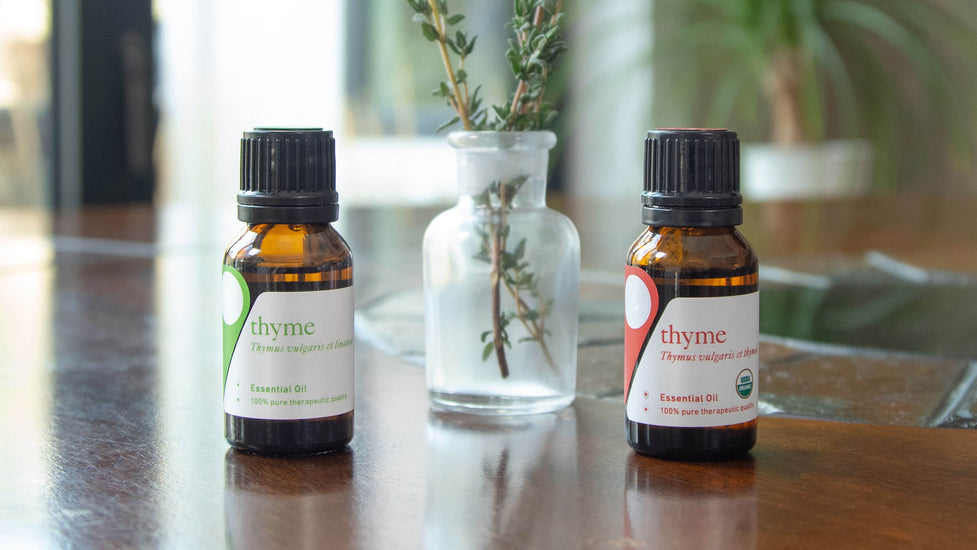 2 Thyme oil chemotypes & which is best for your blend