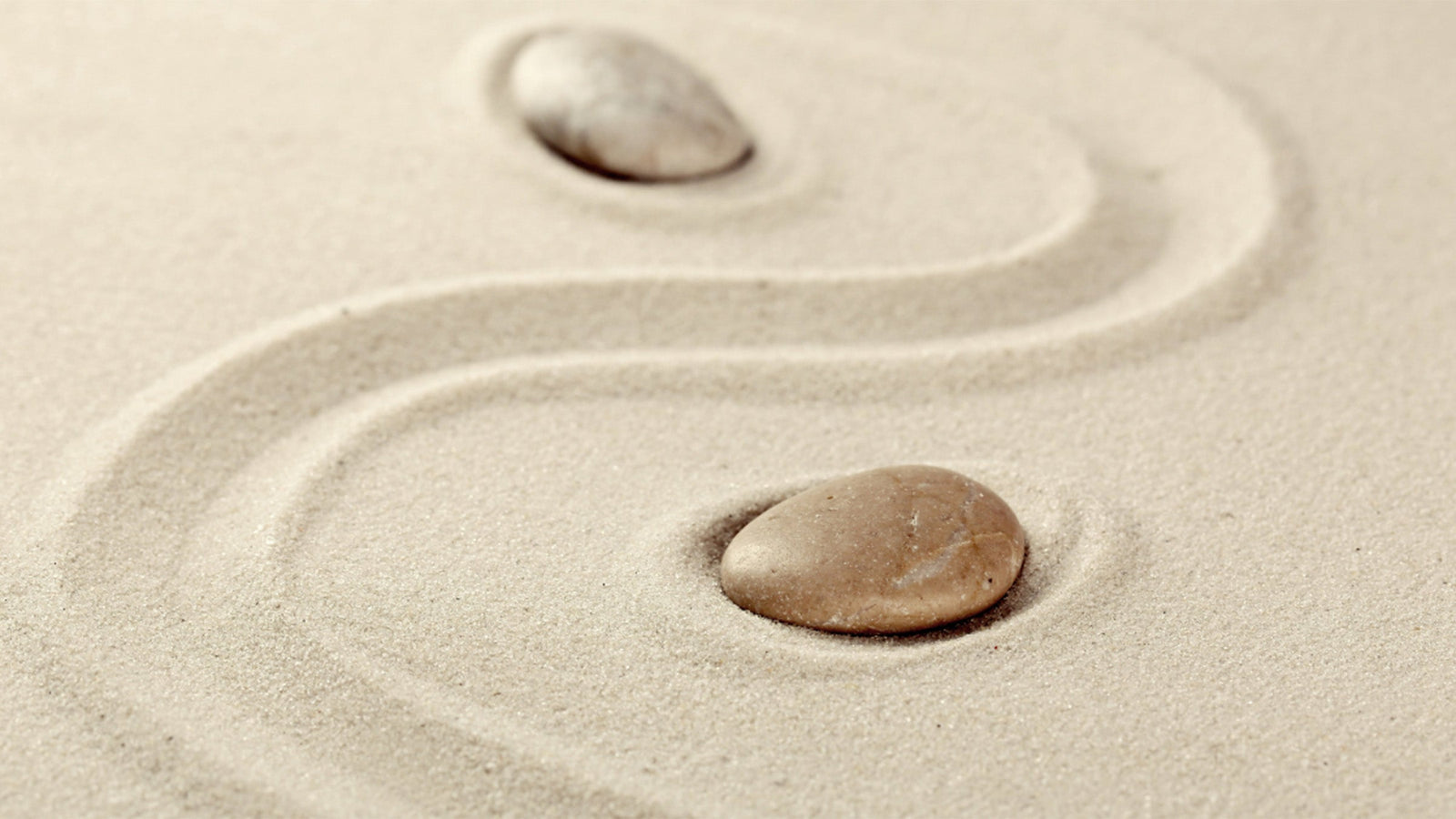 Savor the Light Diffuser Blend Essential Oil Recipe Aromatics International