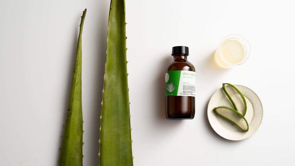 Aloe vera gel: the #1 carrier for summer skin care!  Aromatics  International