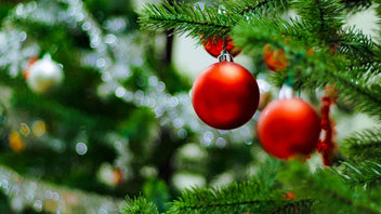 Christmas Tree Aroma Spray - Natural Recipe | aromatics.com – Aromatics ...