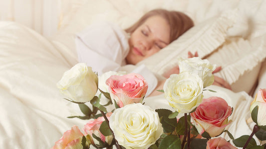 I Dream of Roses Sleepy Lotion