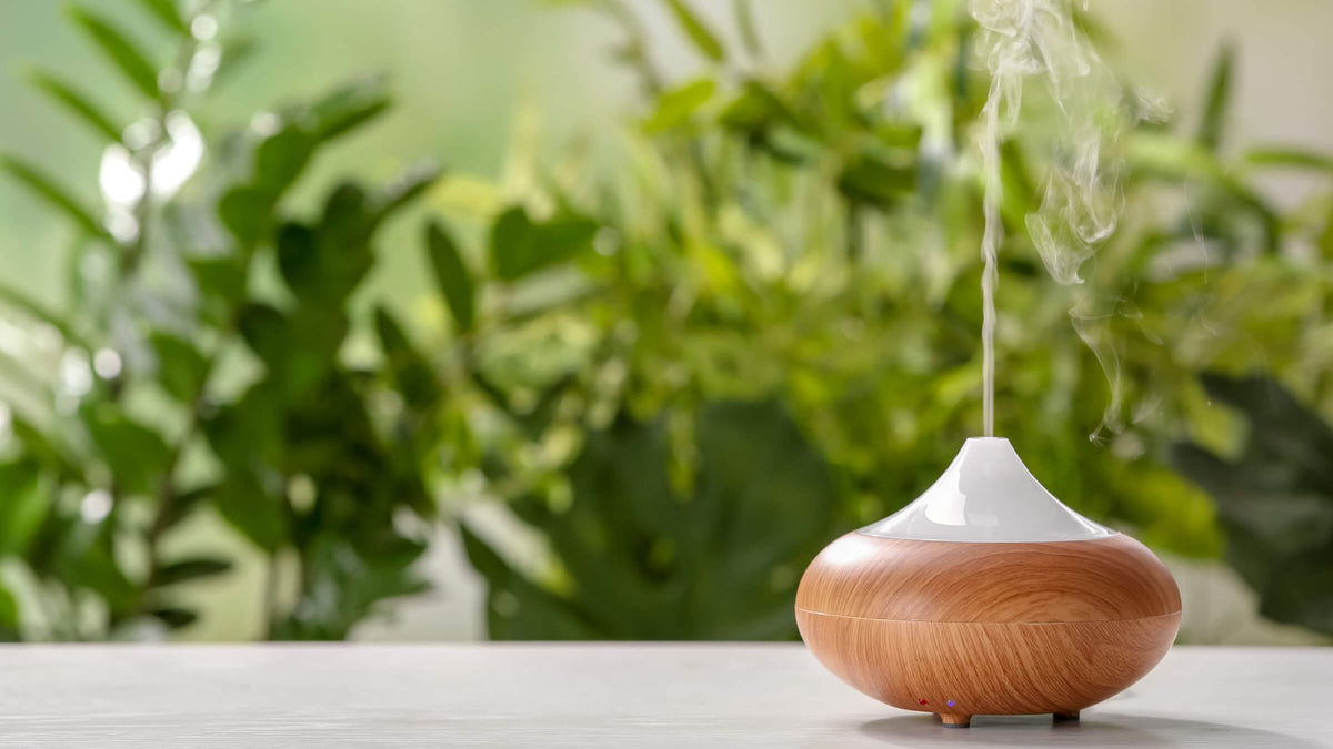 Lemon Verbena Forest Diffuser Blend Recipe | aromatics.com – Aromatics ...