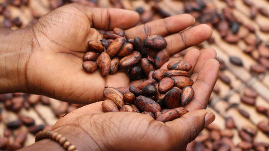 Palm Kernel Oil - Aromatics International
