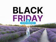 Black Friday 2025 - Everything's On Sale! Opt Out