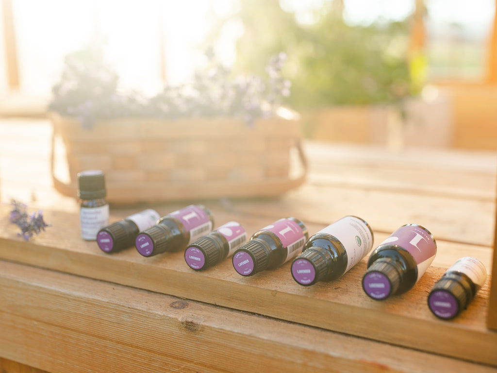 Lavender & Its Remarkable Versatility Workshop Supplies Aromatics International