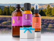 Labor Day Sale - Buy 2 Get 1 Free