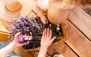 Lavender Oil Collection - Aromatics International