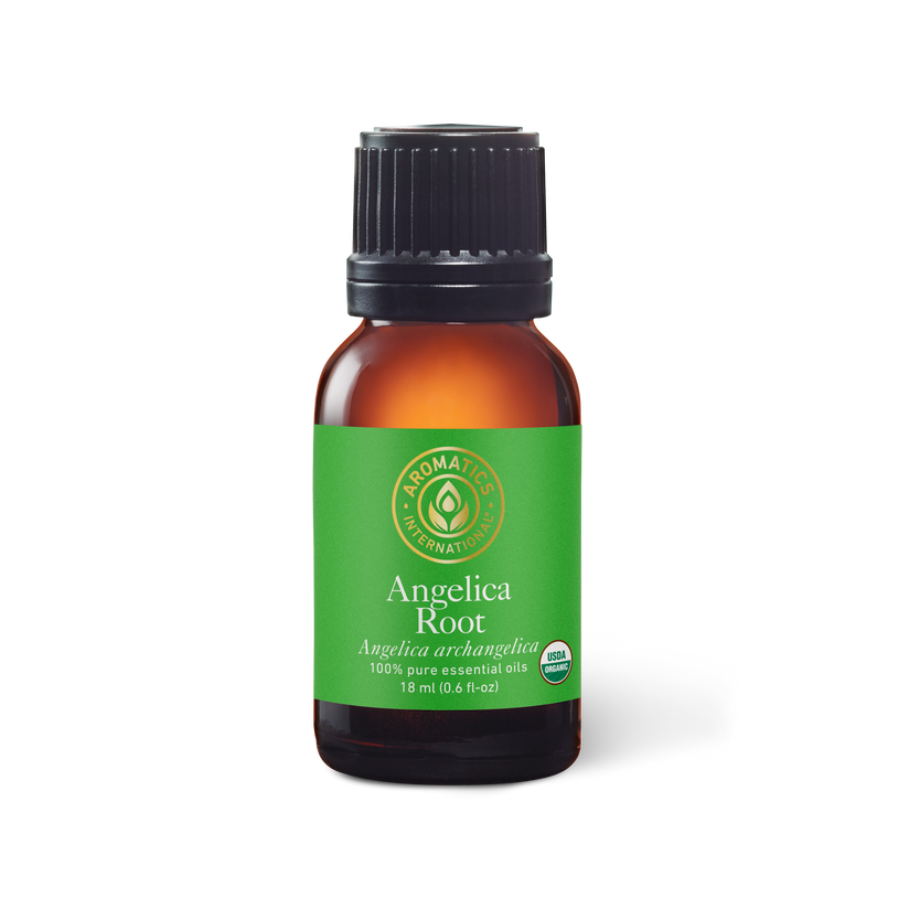 USDA Organic Angelica Root Essential Oil - Aromatics International