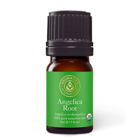 Angelica Root Essential Oil