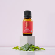 Balsam Poplar Essential Oil