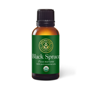 Black Spruce Oil