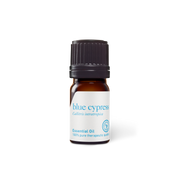 Blue Cypress Oil