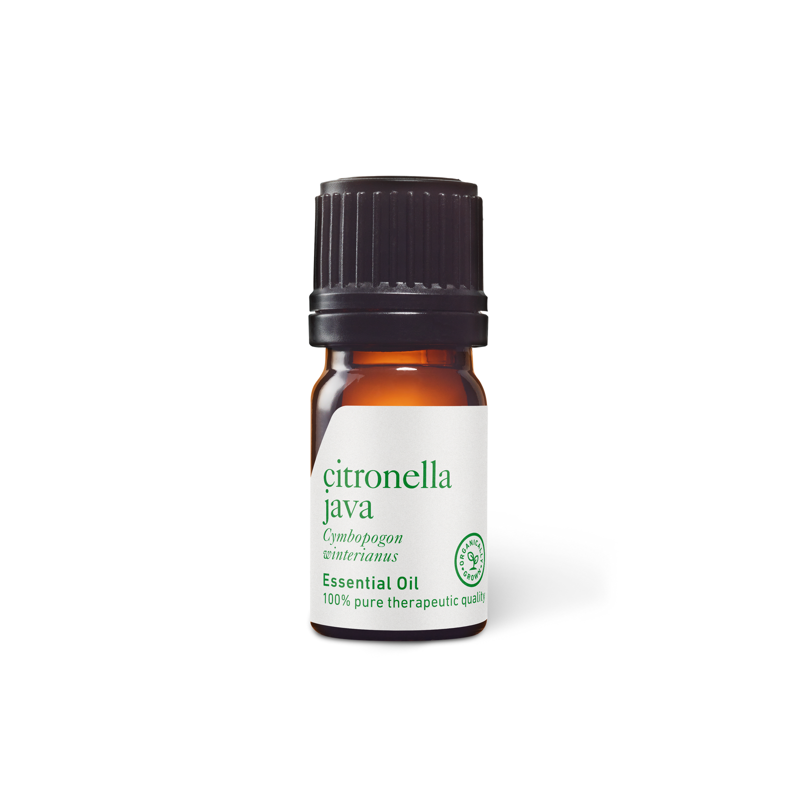 Citronella Java Essential Oil - Aromatics International