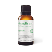 Citronella Java Essential Oil - Aromatics International