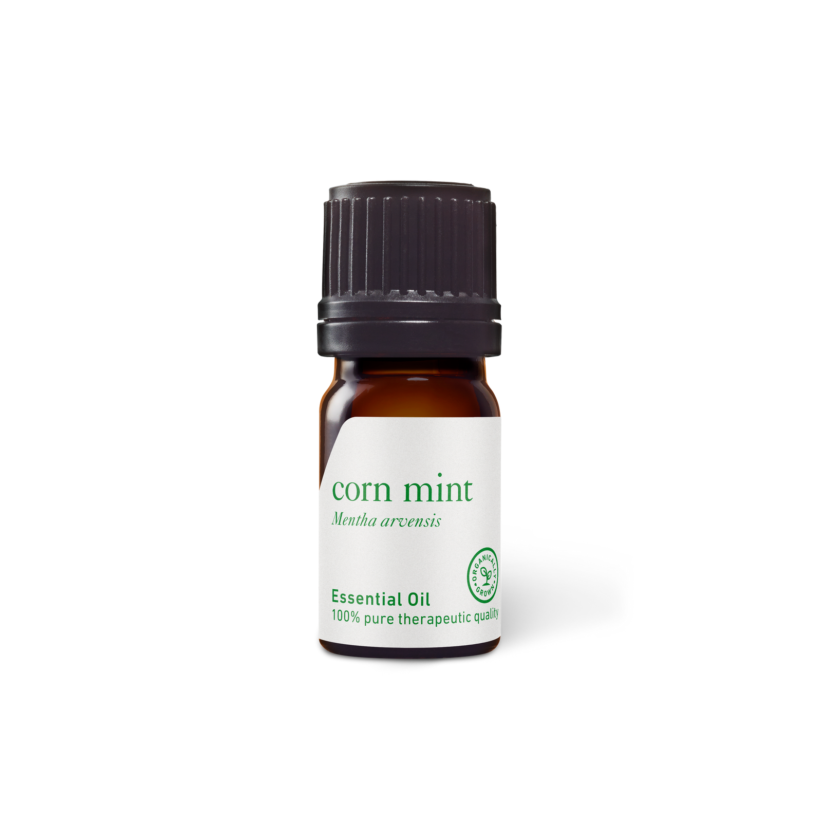 Corn Mint (Wild Mint) Oil