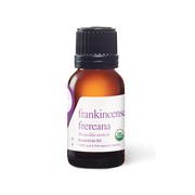 Frankincense Frereana Oil