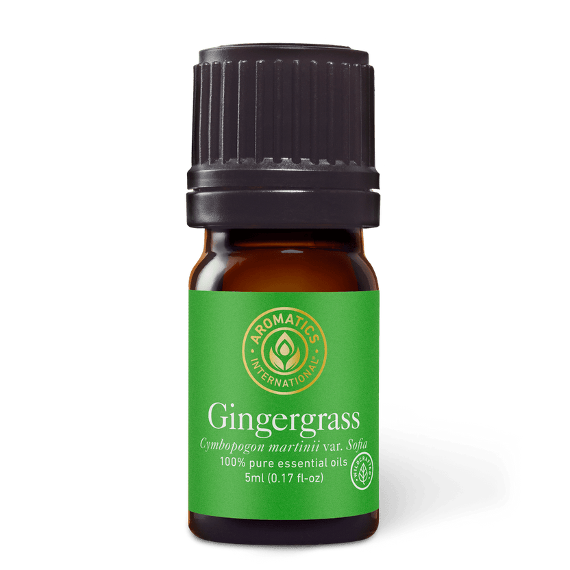 Wildcrafted Gingergrass Essential Oil - Aromatics International - 100% ...