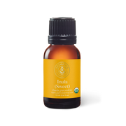 Inula Sweet Essential Oil - 18ml - Essential Oil Singles - Aromatics International