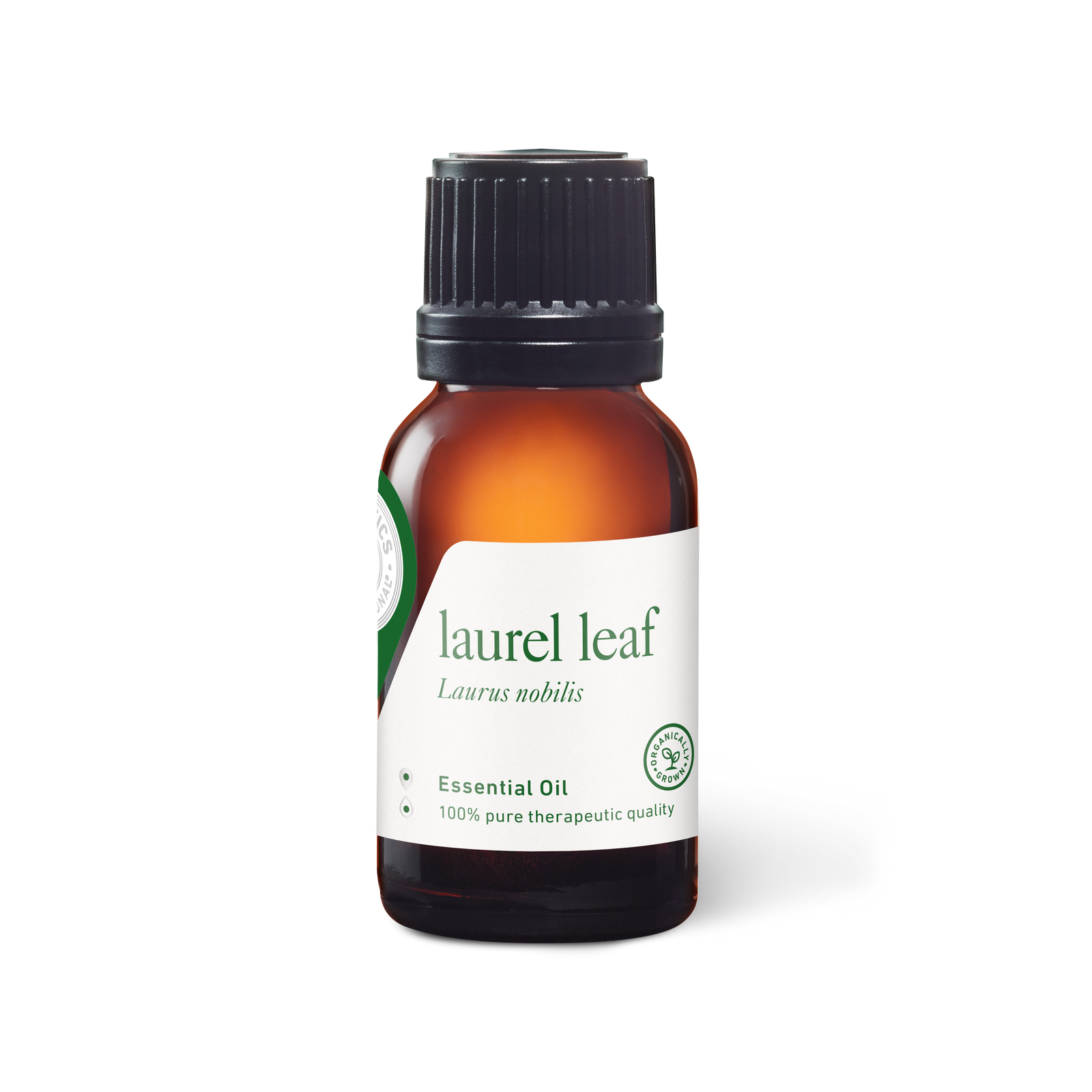 Laurel Leaf Oil - Expired