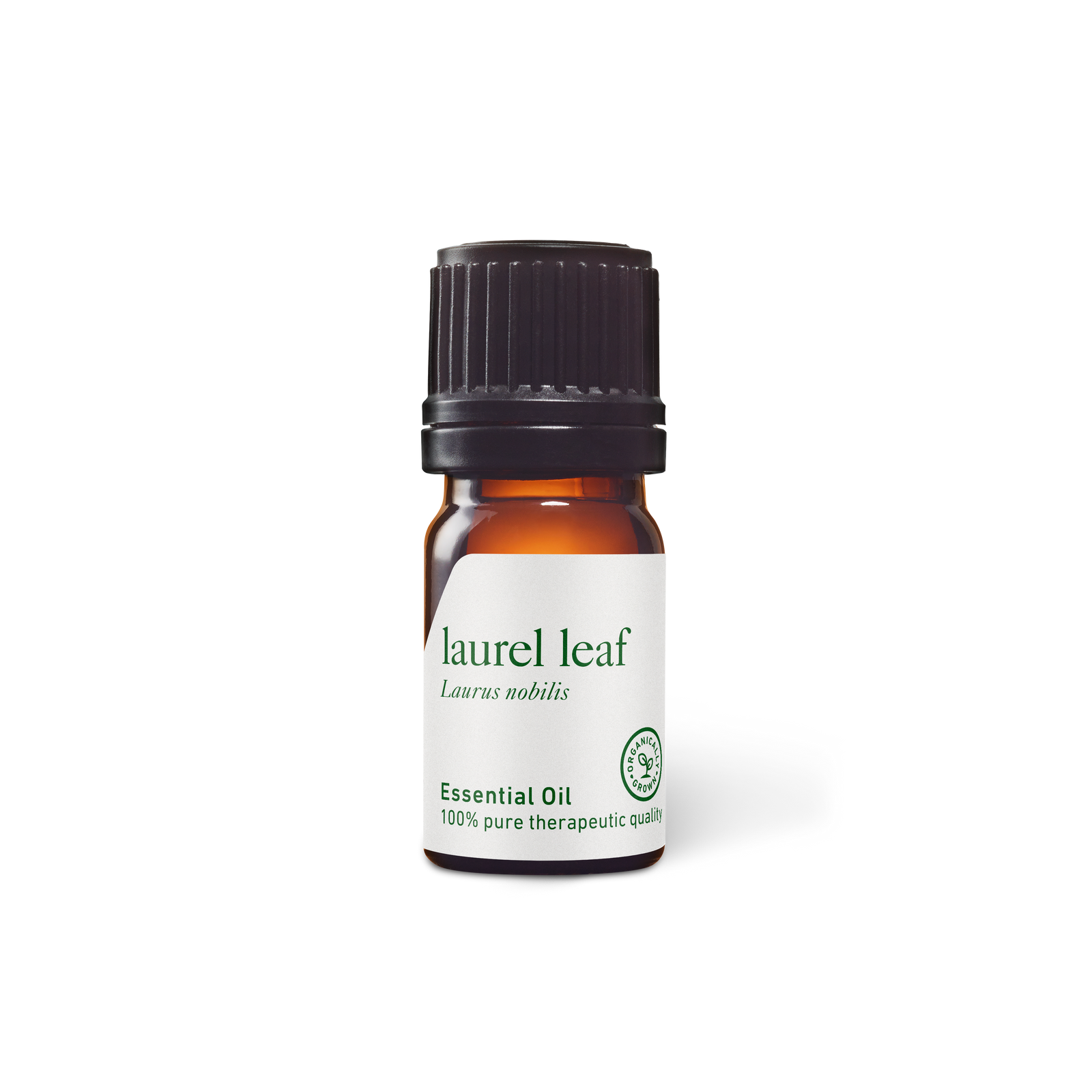 Laurel Leaf Oil