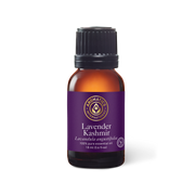 Lavender Kashmir Essential Oil - 18 ml - Essential Oil Singles - Aromatics International