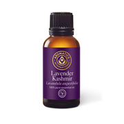 Lavender Kashmir Essential Oil - 30 ml - Essential Oil Singles - Aromatics International