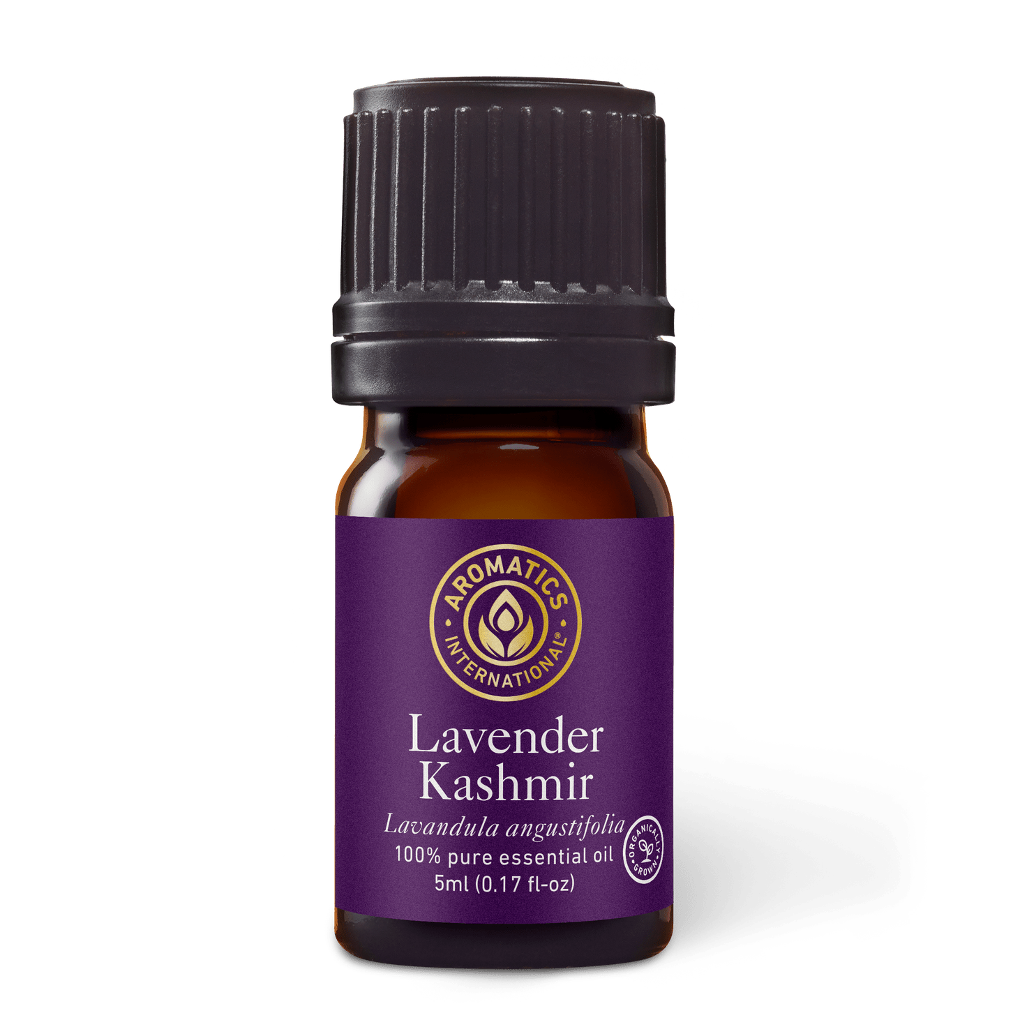 Lavender Kashmir Essential Oil - 5 ml - Essential Oil Singles - Aromatics International