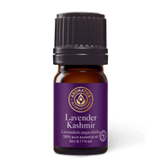Lavender Kashmir Essential Oil - 5 ml - Essential Oil Singles - Aromatics International