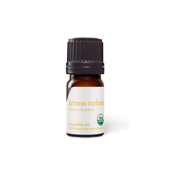 Lemon Verbena essential oil and leaves on the wooden board