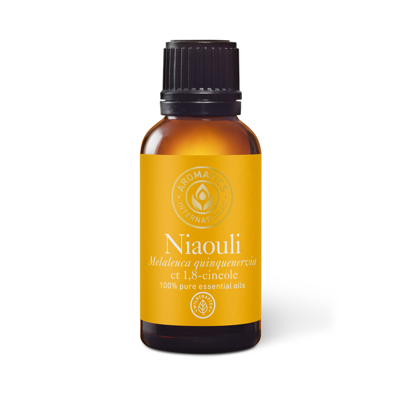 Wildcrafted Niaouli ct 1,8 Cineole Essential Oil - Aromatics