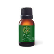 Pinyon Pine Oil