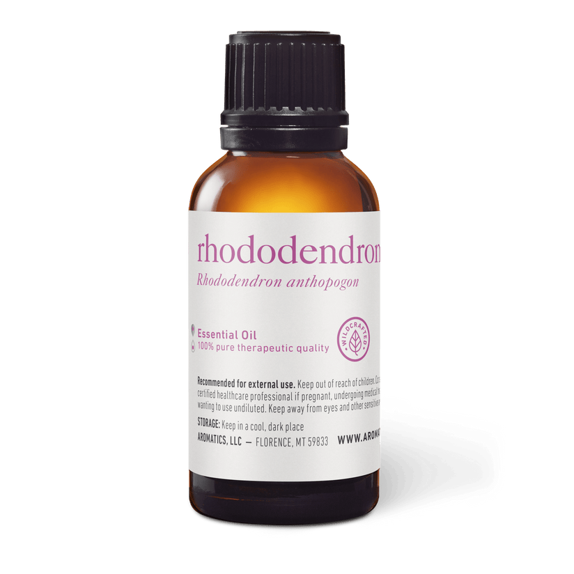 Wildcrafted Rhododendron Essential Oil - Aromatics International - 100%  Pure & GCMS Tested