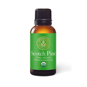 Scotch Pine Oil